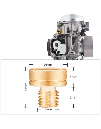 Main Jet 10 Size Marudai (8X9) Main Jet Main Jet Set TM/TMR/MJ N24/ TDMR/V M22 Carburetor Setting for Motorcycle with Storage Ca